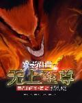 火影之至高无上续写