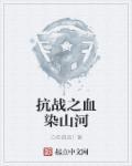 抗战之血染山河 第156章