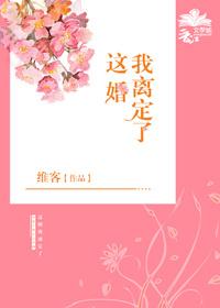 这婚我离定了晋江