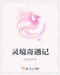 灵境奇缘