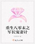 重生之八零军妻养成计划