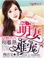 总裁大人的双面宠妻