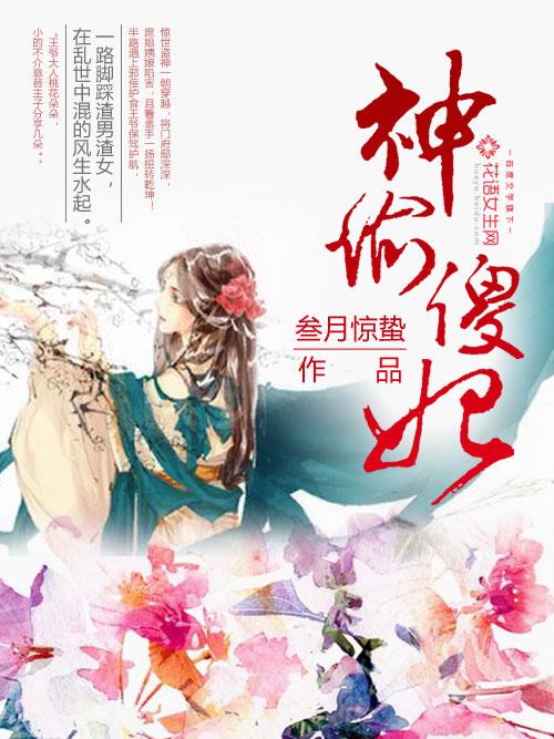 神偷傻妃动漫