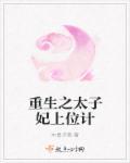 重生之太子为妃