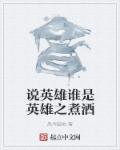 说英雄谁是英雄系列全集