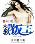 大明软饭66集完整版