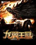 龙王王冠怎么用
