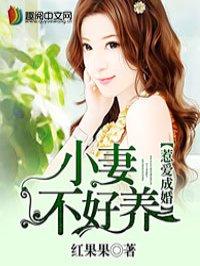 惹爱成婚全集免费阅读