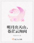 明月出天山苍茫云海间是哪座山
