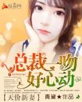 总裁天价新娘全文免费阅读