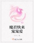 魔君宠夫日常全文阅读