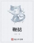 鞭挞宇内什么意思