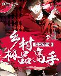 乡村极品高手李东