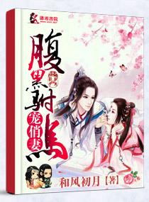 腹黑驸马喜当爹动漫