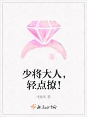 少将轻一点全文阅读