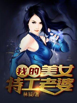 我的美女特工老婆男主有几个女人