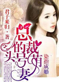 染指首席总裁惹爱成婚结局