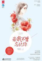如果我不曾忘记什么歌?