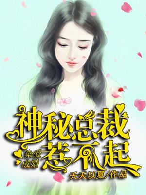 染爱成婚免费阅读全文免费