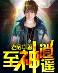 至尊逍遥神多少字