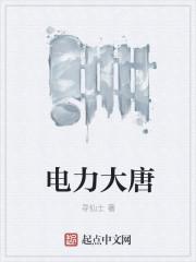 大唐电力是谁的?