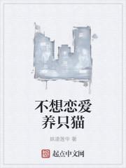 不想养猫咪了