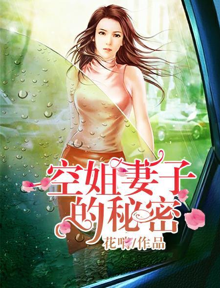空姐妻子的秘密第三季剧情介绍大结局