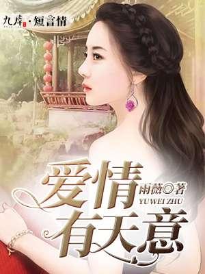爱情有天意在线观看免费完整版
