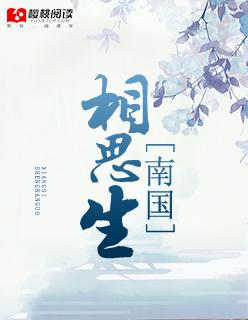 相思付南风