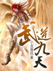 武逆九天男主介绍