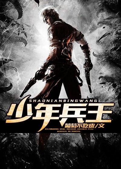 少年兵王十三