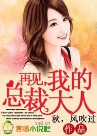 再见我的总裁大人大结局