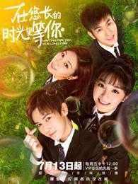 在悠长的时光里等你歌曲