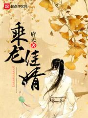 乘龙佳婿的动物