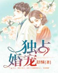 独占宠你免费阅读