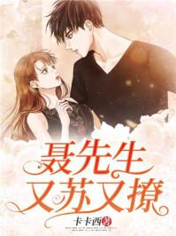 聂先生又苏又撩免费聂铮正版