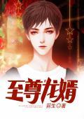 阅读至尊龙婿