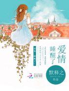 爱情睡醒了剧情介绍分集