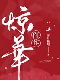 仵作惊华傅玦戚浔哪章相认