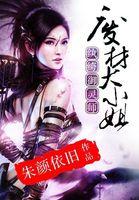 纨绔御灵师废材大少爷