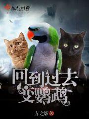 回到过去变成猫主要讲什么