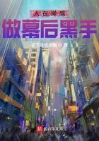 做幕后黑手飞卢