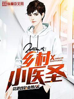 乡村小医圣短剧免费观看