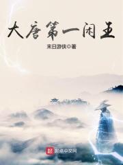大唐第一闲王 第220章