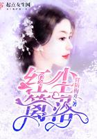 红尘篱落穿越免费阅读