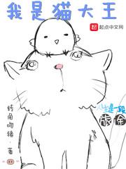 我是猫大王 转角吻猪