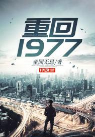 重回1977短剧免费播放