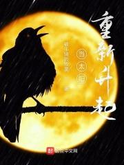 当太阳重新升起一切又重新开始