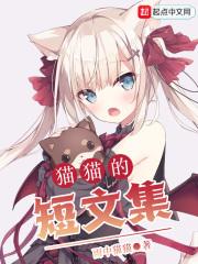 关于猫咪的短文
