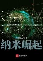 纳米崛起txt
